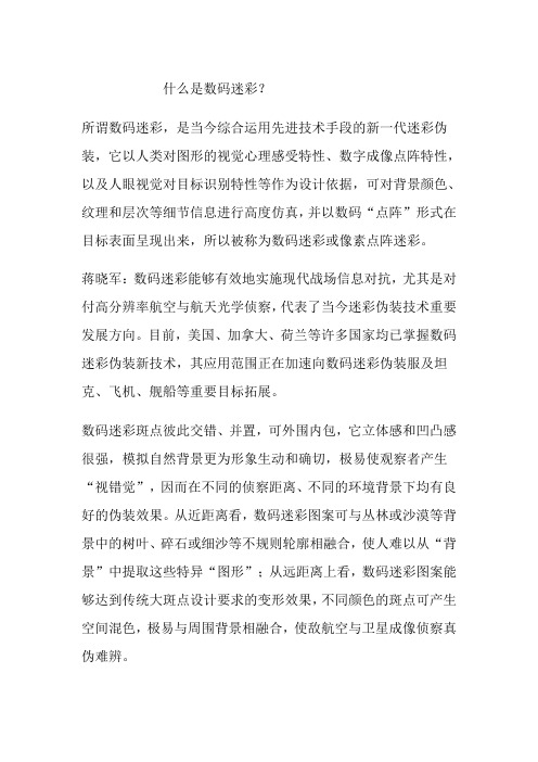数码迷彩