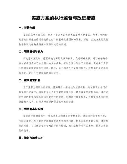 实施方案的执行监督与改进措施