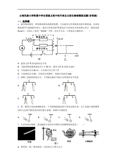 云南民族大学附属中学全国重点高中初升高自主招生物理模拟试题(含答案)