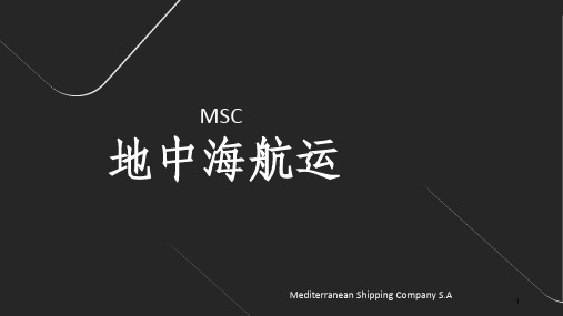 地中海航运公司MSC