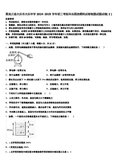 黑龙江省大庆市大庆中学2024-2025学年初三考前突击精选模拟试卷物理试题试卷(2)含解析