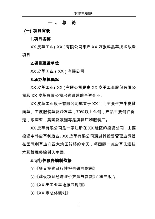 年产万张成品革技术改造项目可行性研究报告