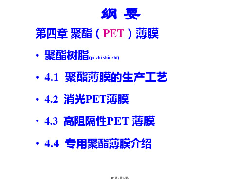 PET(共19张)