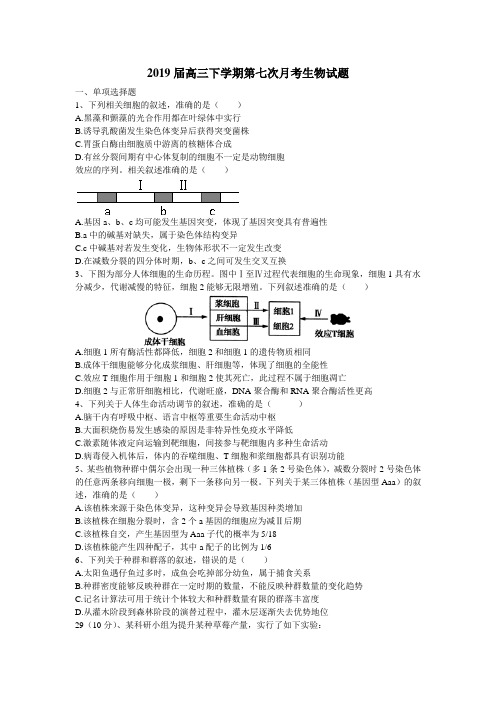 2019届高三下学期第7次月考生物试题