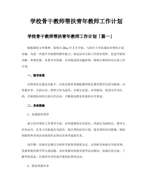 学校骨干教师帮扶青年教师工作计划