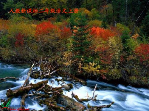 秋天的图画