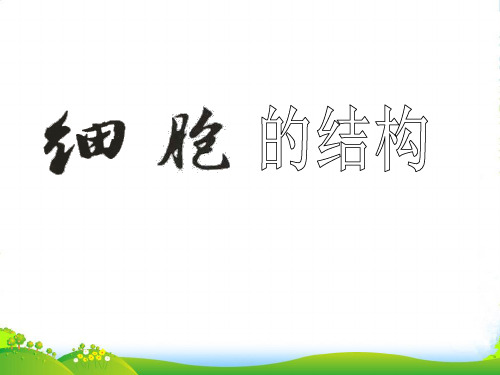 浙江省绍兴县杨汛桥镇中学七年级科学上册 2