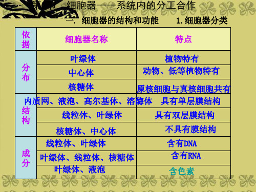 高考生物一轮复习 细胞器课件