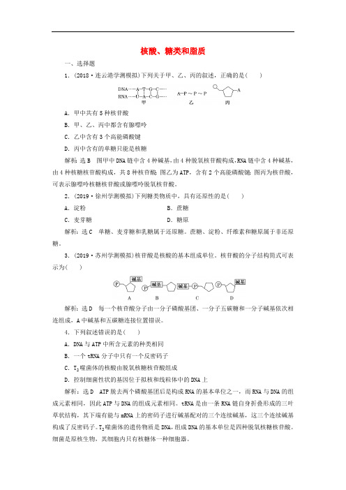 江苏专版2020版高考生物一轮复习课时跟踪检测四核酸糖类和脂质含解析