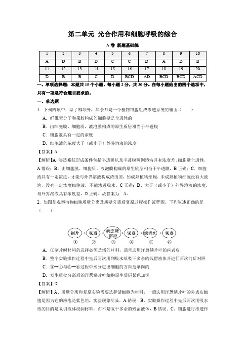 新高考生物第二单元 光合作用和细胞呼吸的综合(A卷新题基础练)(解析版)