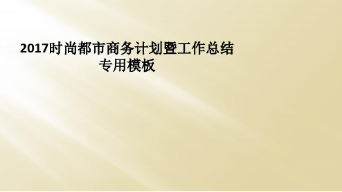 2017时尚都市商务计划暨工作总结专用模板