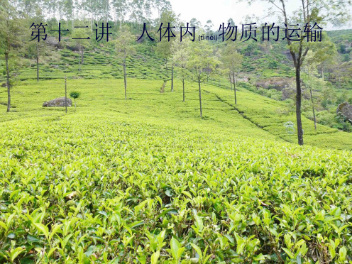 中考生物总复习第四单元生物圈中的人第十二讲人体内物质的运输