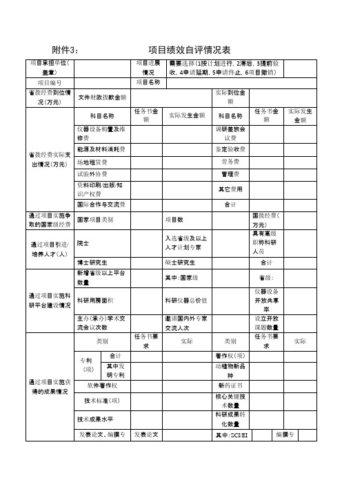 项目绩效自评情况表