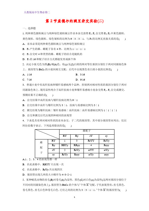 高中生物必修2课时作业5：1.2孟德尔的豌豆杂交实验(二)