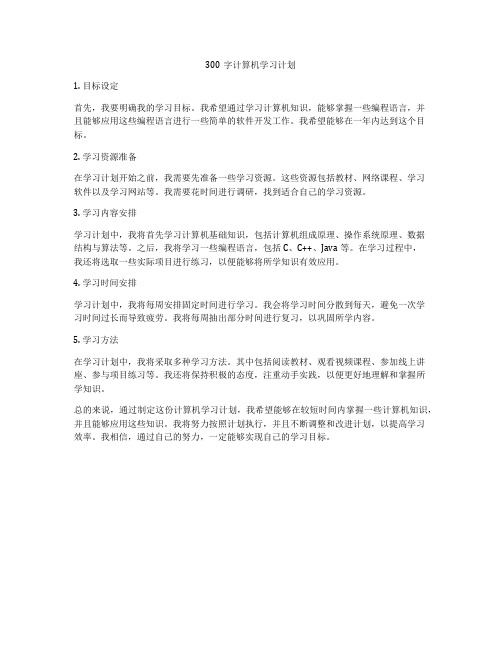 300字计算机学习计划