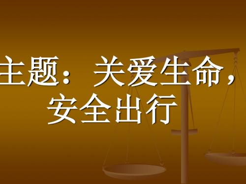 海口海之南外国语实验学校学生主题班会：关爱生命安全出行