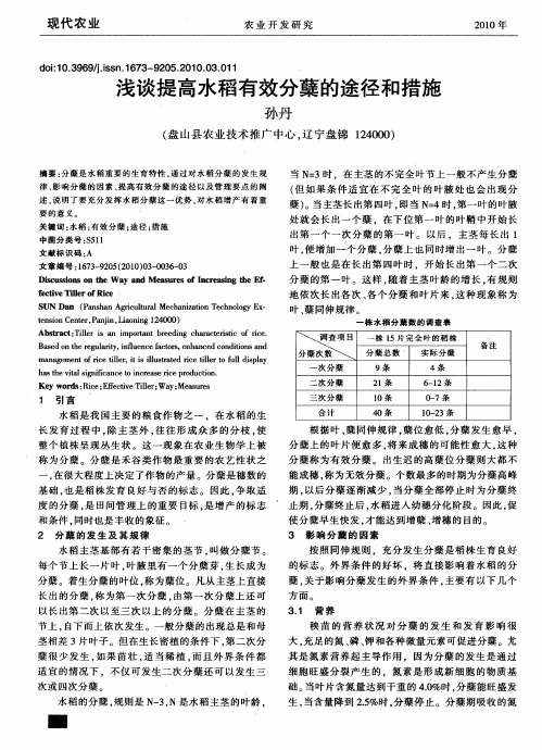 浅谈提高水稻有效分蘖的途径和措施