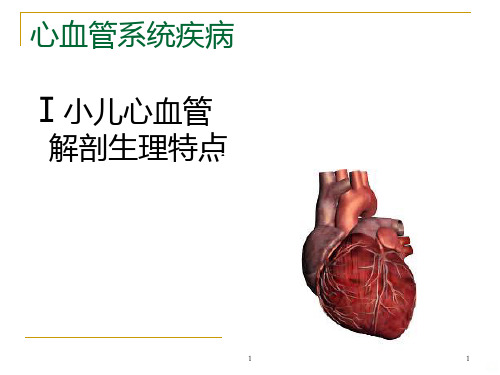 先天性心脏病PPT课件