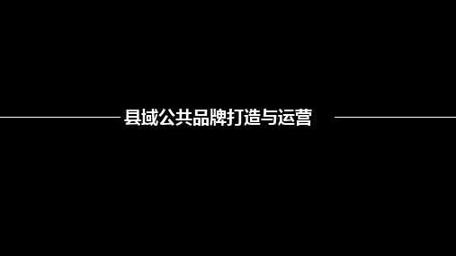 县域公共品牌打造与运营