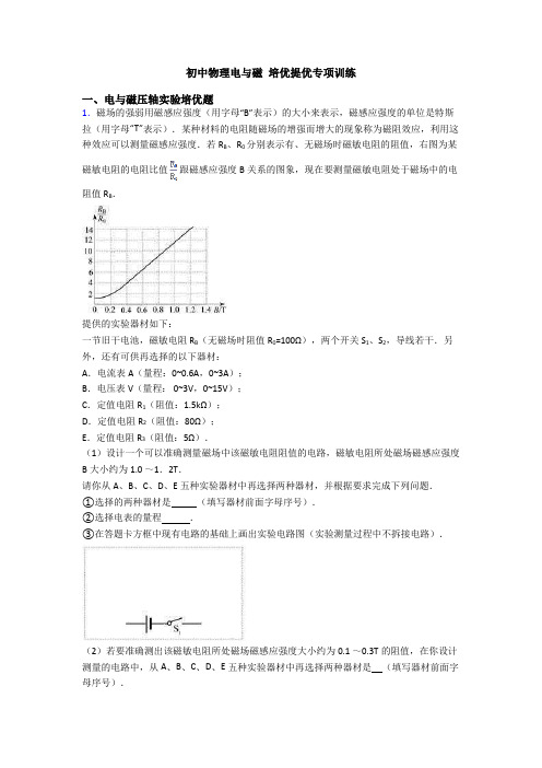 初中物理电与磁 培优提优专项训练