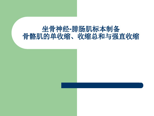 坐骨神经-腓肠肌标本制备 骨骼肌的单收缩、收缩总和与强 …