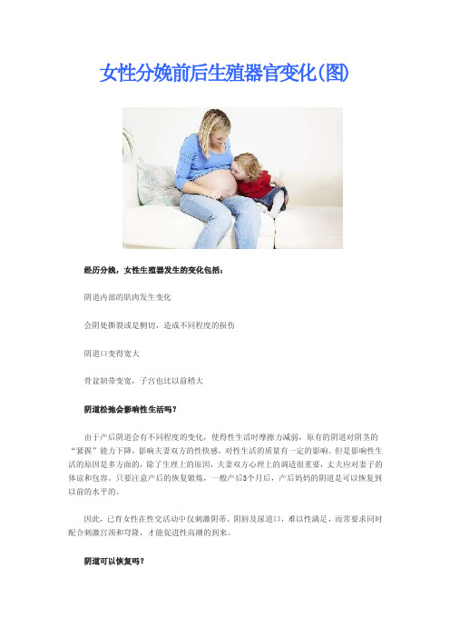 女性分娩前后生殖器官变化（图）