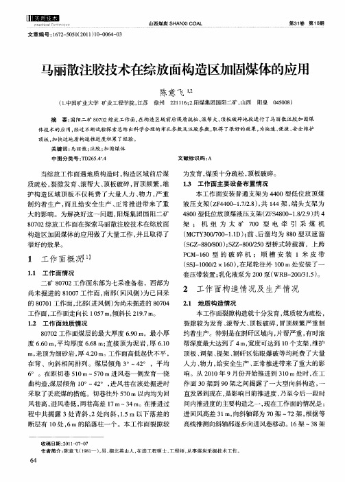 马丽散注胶技术在综放面构造区加固煤体的应用