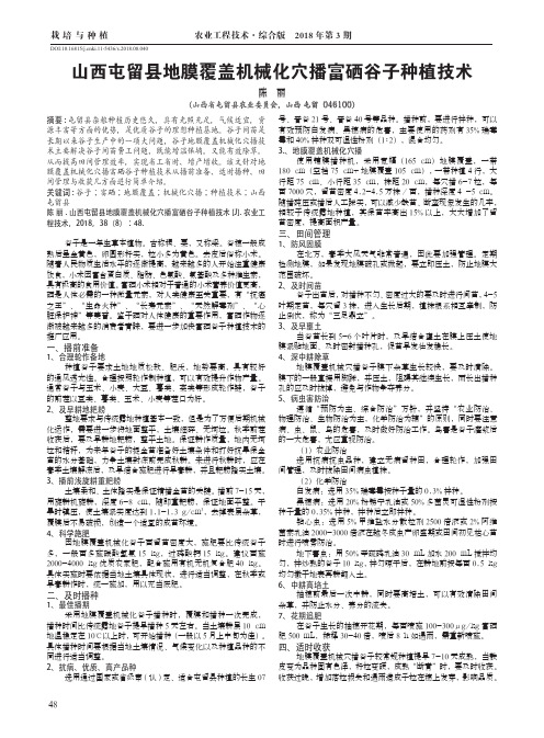 山西屯留县地膜覆盖机械化穴播富硒谷子种植技术