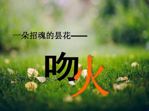 高考语文一轮复习之《中国现代诗歌散文欣赏》：《吻火》课件2(人教版选修)