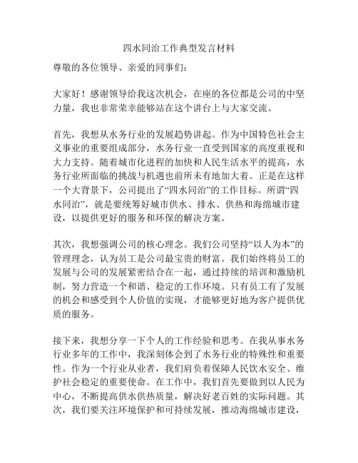 四水同治工作典型发言材料