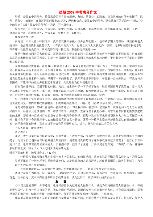 江苏省新沂市钟吾中学中考语文专项复习系列 盐城2007中考语文满分作文 新人教版