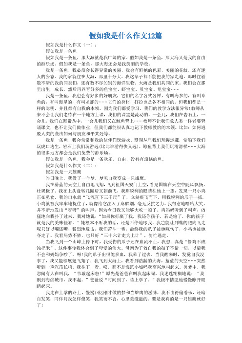 假如我是什么作文12篇