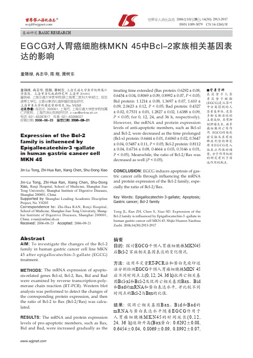 EGCG 对人胃癌细胞株MKN 45 中Bcl-2 家族相关基因表达的影响