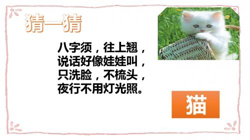 部编版七年级上册语文《猫》