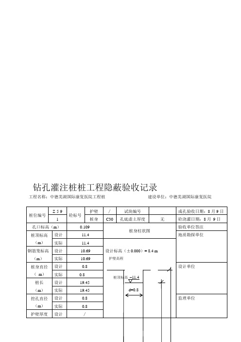 施工资料(一桩一表)