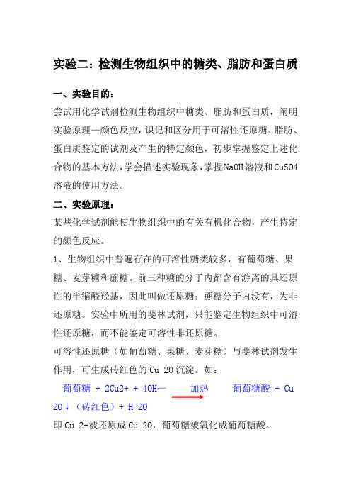 实验二：检测生物组织中的糖类、脂肪和蛋白质