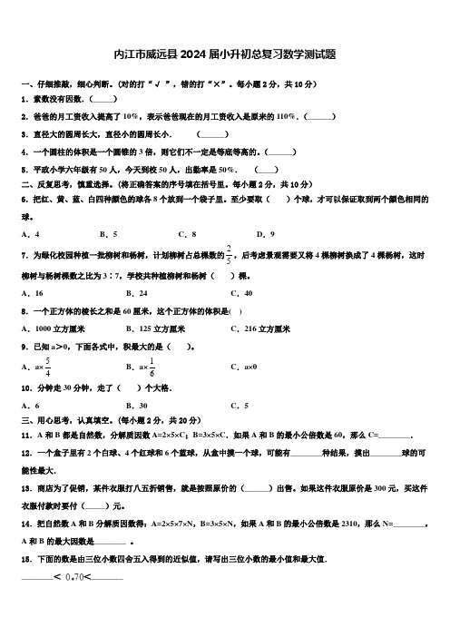 内江市威远县2024届小升初总复习数学测试题含解析