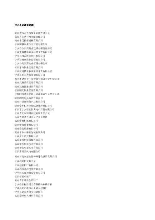 长沙中小企业注册名称2