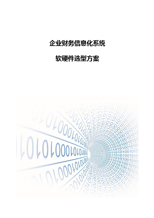 企业财务信息化系统软硬件选型方案