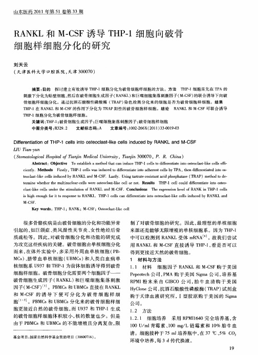 RANKL和M-CSF诱导THP-1细胞向破骨细胞样细胞分化的研究