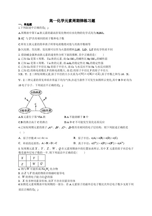 高一化学元素周期律练习题21(附答案)