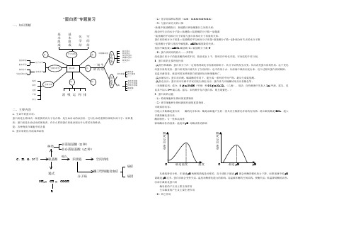 最新-“蛋白质”专题复习 精品