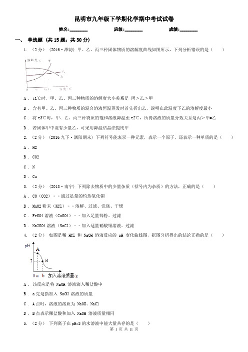 昆明市九年级下学期化学期中考试试卷