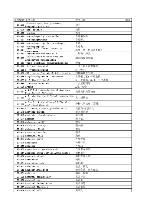 畜牧学术语01