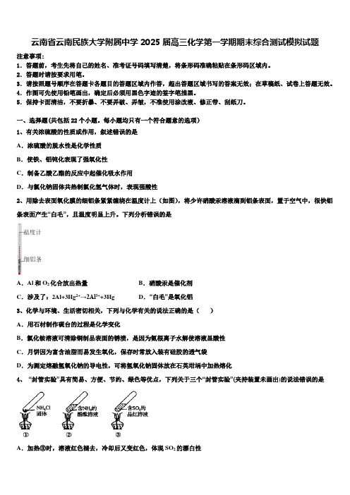 云南省云南民族大学附属中学2025届高三化学第一学期期末综合测试模拟试题含解析