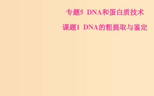 高中生物 专题5 DNA和蛋白质技术 课题1 DNA的粗提取与鉴定 新人教版选修1 