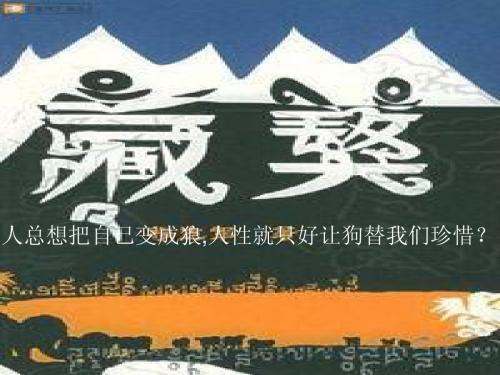藏獒