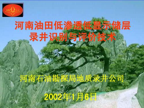 低渗透低显示储层录井识别与评价技术