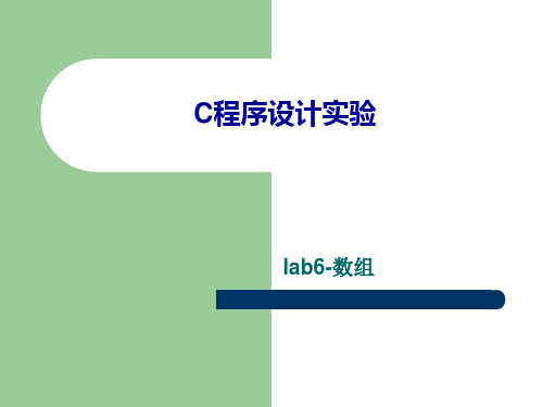 lab6-数组资料