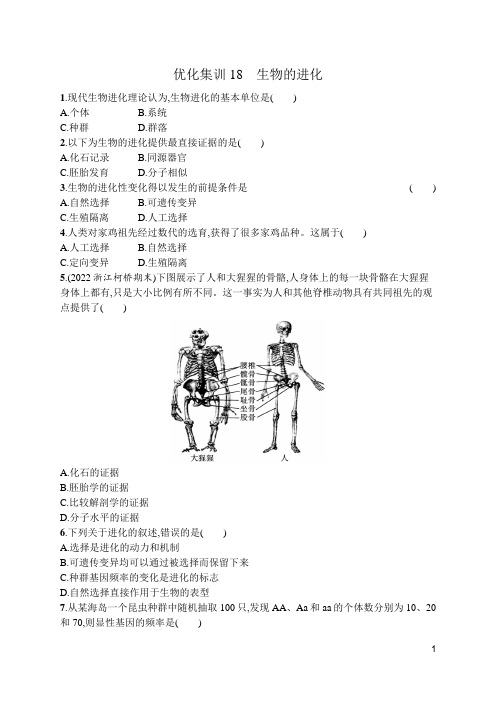 2024年高考生物总复习考点培优训练——生物的进化